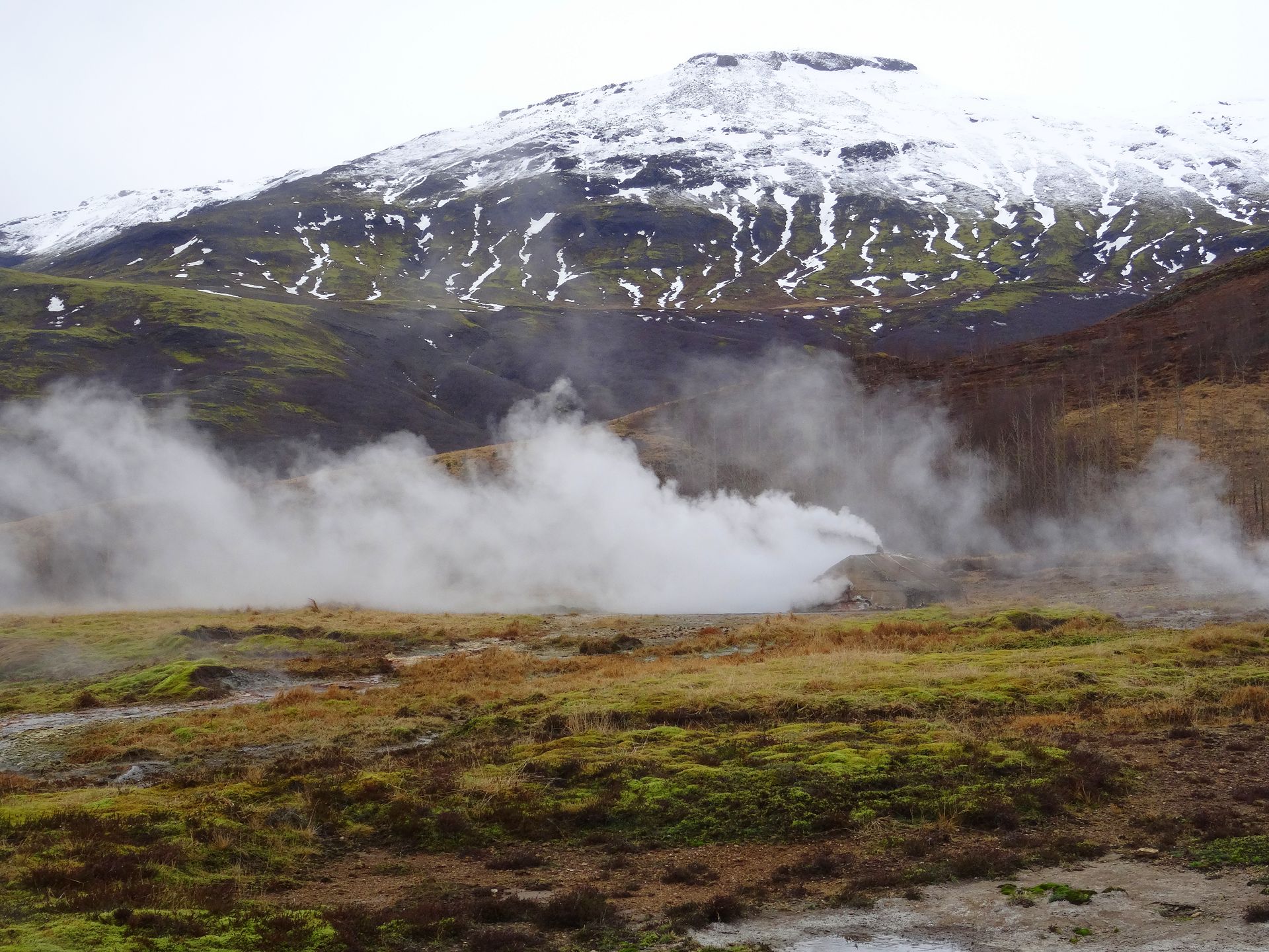 Geysir area (Haukadalur)